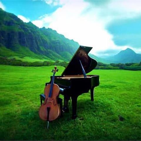 آهنگ سنگ تو به سینه زدم خوشگل گیسو کمند (میثم ابراهیمی)