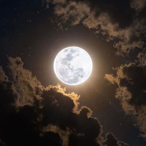 آهنگ زیر نور ماه پر دوده ریه هام علی حسینی