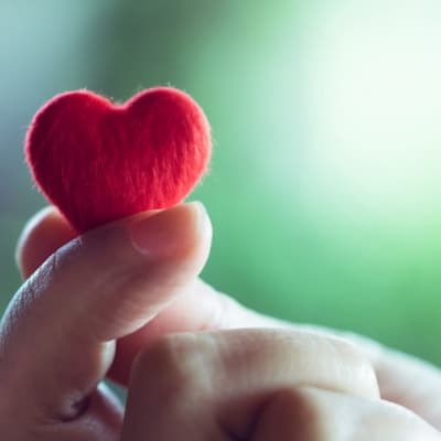 آهنگ برنامه عشق ابدی