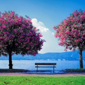 آهنگ گل یاریم اتابک علیزاده