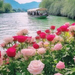 آهنگ پرسون پرسون از گروه کر