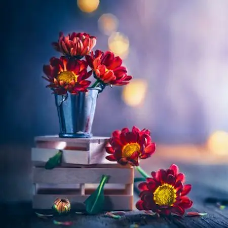 بنر آهنگ خواستی مجازاتم کنی همینقدرم بسه برام