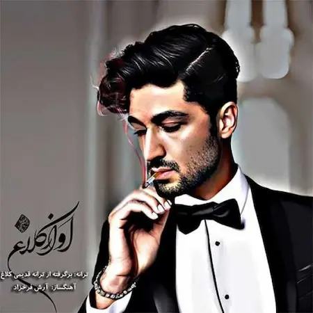 بنر آهنگ آرش فرخزاد کلاغ
