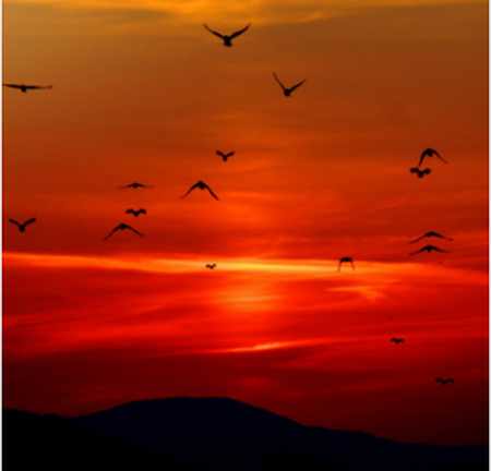 بنر آهنگ عاشق شدی ای ای دل غمهایت مبارک با صدای زن