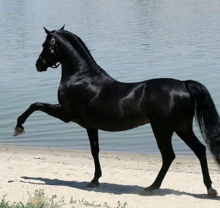 بنر آهنگ ای خالق هر قصه من